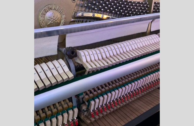 Yamaha Polished Ebony B1 Upright Piano, Used - All Inclusive Premium Package (SN:J28229351) - Image 8